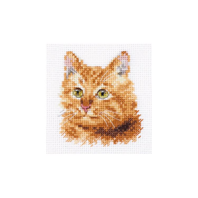 Animal Portraits. Ginger Cat S0-207