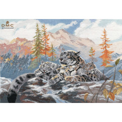 Snow leopard S1342