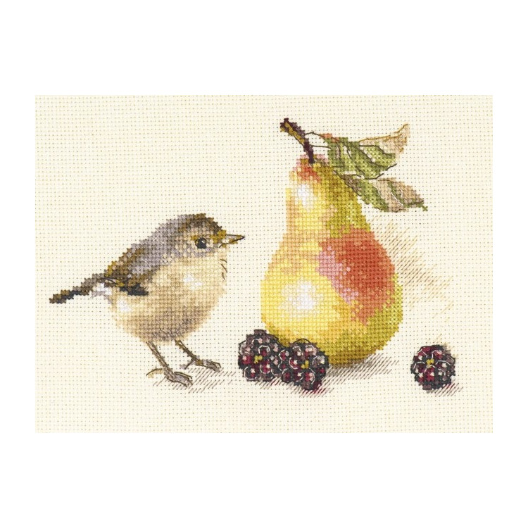 Bird and a Pear S5-23