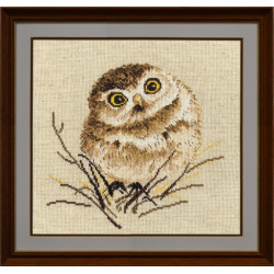 Owlet S751