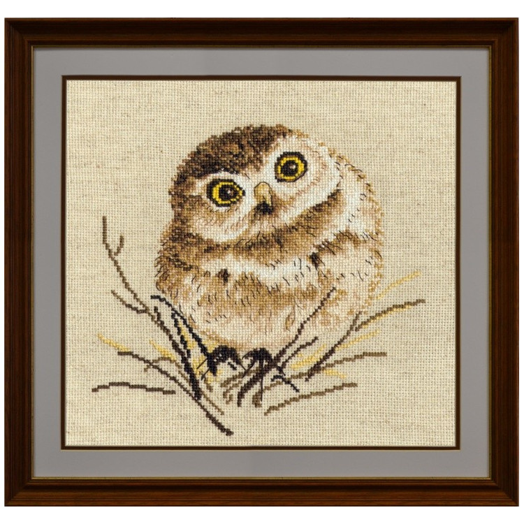 Owlet S751