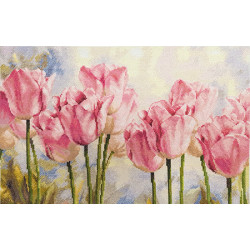 (Снят) Розовые тюльпаны S2-37
