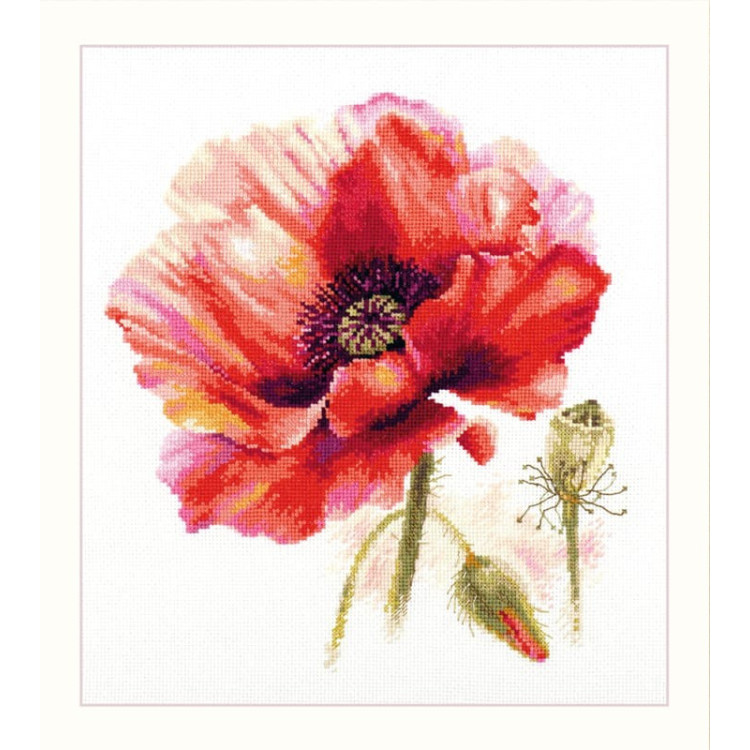 Bright Red Poppy S2-46