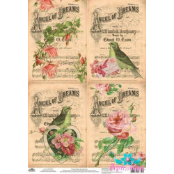 Rice card for decoupage "Vintage birds" size: 21*30 cm AM400265D