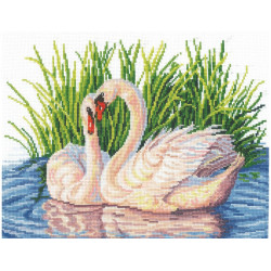 Pair Of Swans SANP-39