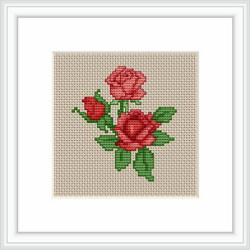 Roses SB033