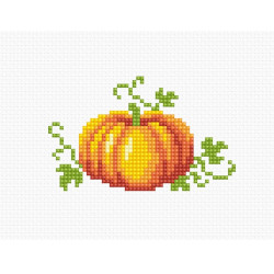 Pumpkin SB097