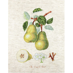 The Dauch Pear SBA22420