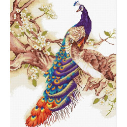 (Discontinued) Peacocks SB459