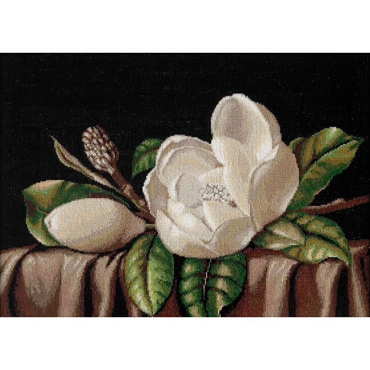 Magnolia SB484