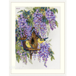 Wisteria SK137