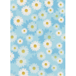 Designer canvas Aida 18 40x30 cm SKD-064