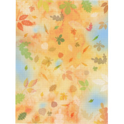 Designer canvas Aida 18 40x30 cm SKD-106