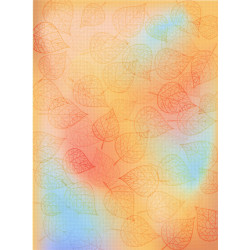 Designer canvas Aida 18 40x30 cm SKD-108