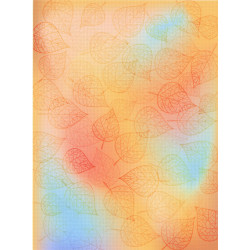 Designer canvas Aida 14 21x30 cm SKD14-107