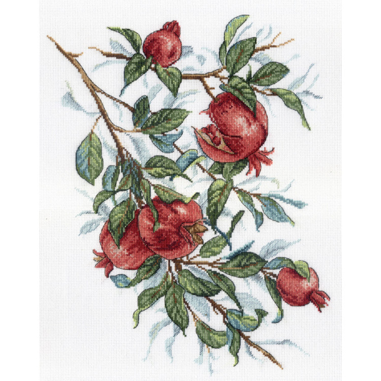 Pomegranate Tree SNV-535