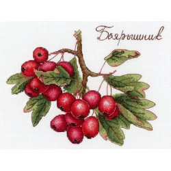 Berries SNV-651