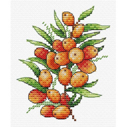 Sea buckthorn mood SM-591