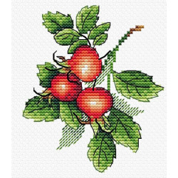 Ripe rosehip SM-599