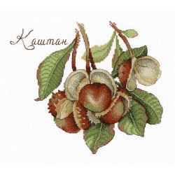 Nature Gifts. Chestnut SNV-672