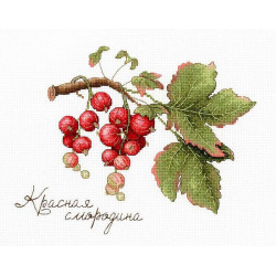 Gifts of Nature.  Red Currant SNV-695