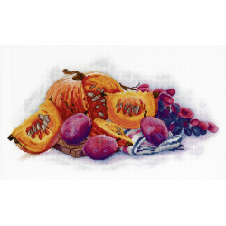 (Discontinued) Pumpkin SNV-629