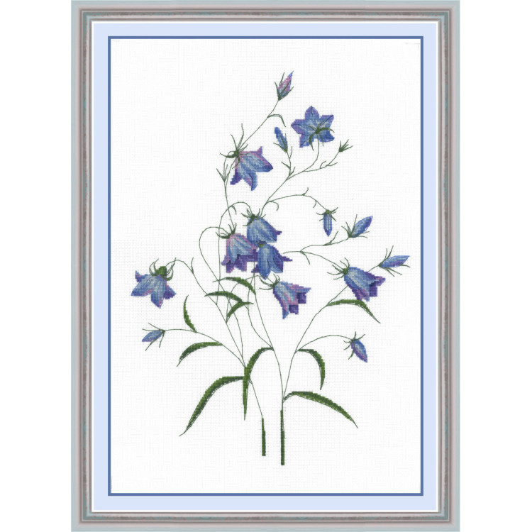 Campanula based on Pierre-Joseph Redouté gravure SNP012