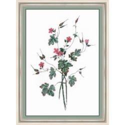 (CLEARANCE SALE)  Geranium based on Pierre-Joseph Redouté gravure SNP014