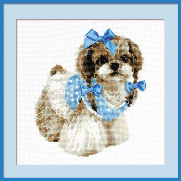 Shih Tzu 1120