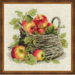 Ripe Apples 1450