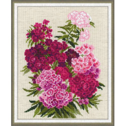 Sweet William 1463