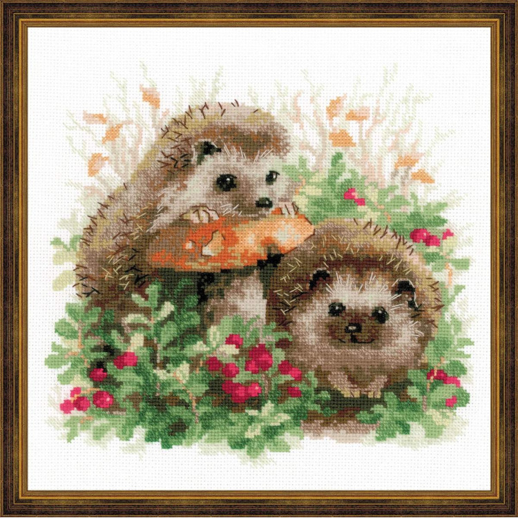 Hedgehogs in Lingonberries 1469