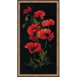 Poppies 1057