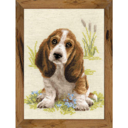 Basset Hound Puppy 1578