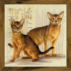 Abyssinian Cats SR1671