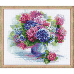 Hydrangea SR1696