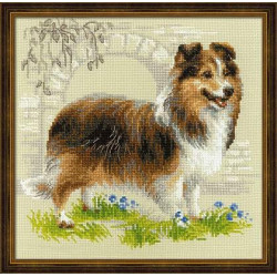 Sheltie SR1710