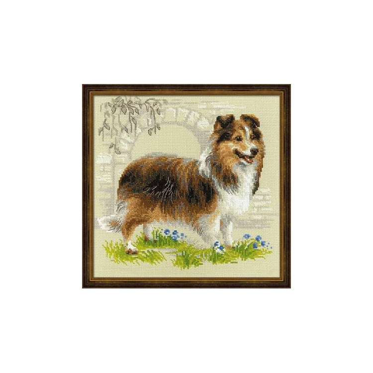 Sheltie SR1710