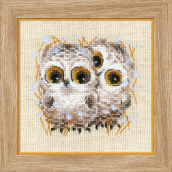 Little Owls SR1755