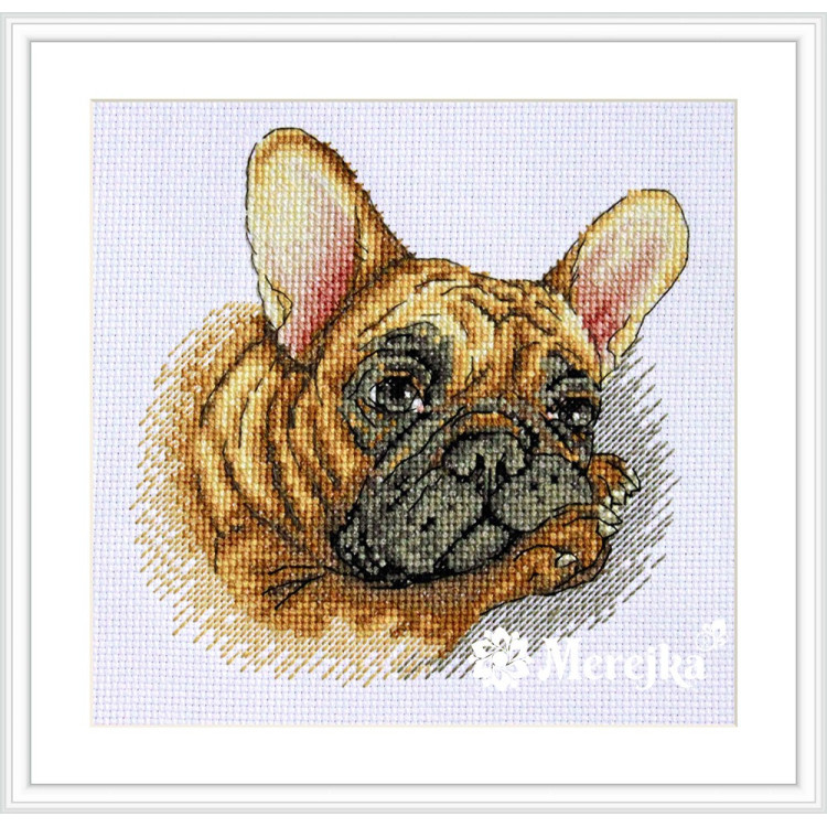 French Bulldog SK114