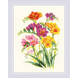 Fragrant Freesia SR1821