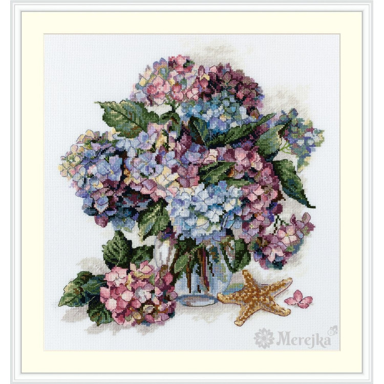 Hydrangea  SK178