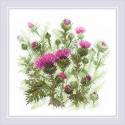 Thistle SR1852