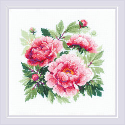 Tree Peony SR1854