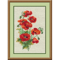 Wild Poppies 808