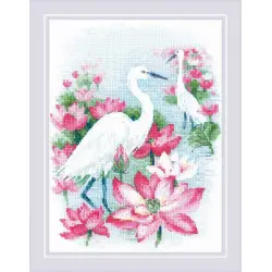 Lotus Field. Herons SR1868