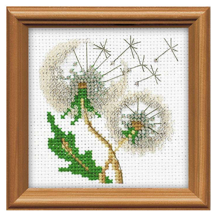 Dandelion Seeds 1319