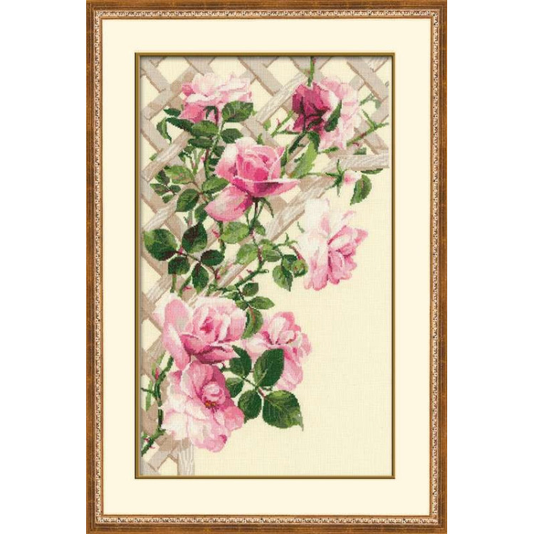 Pink Roses on Lattice 898