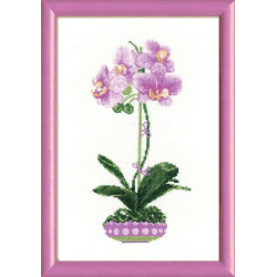 Lilac Orchid 1163