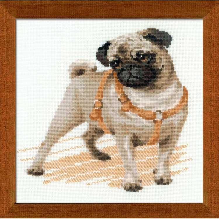 Pug Dog 1176